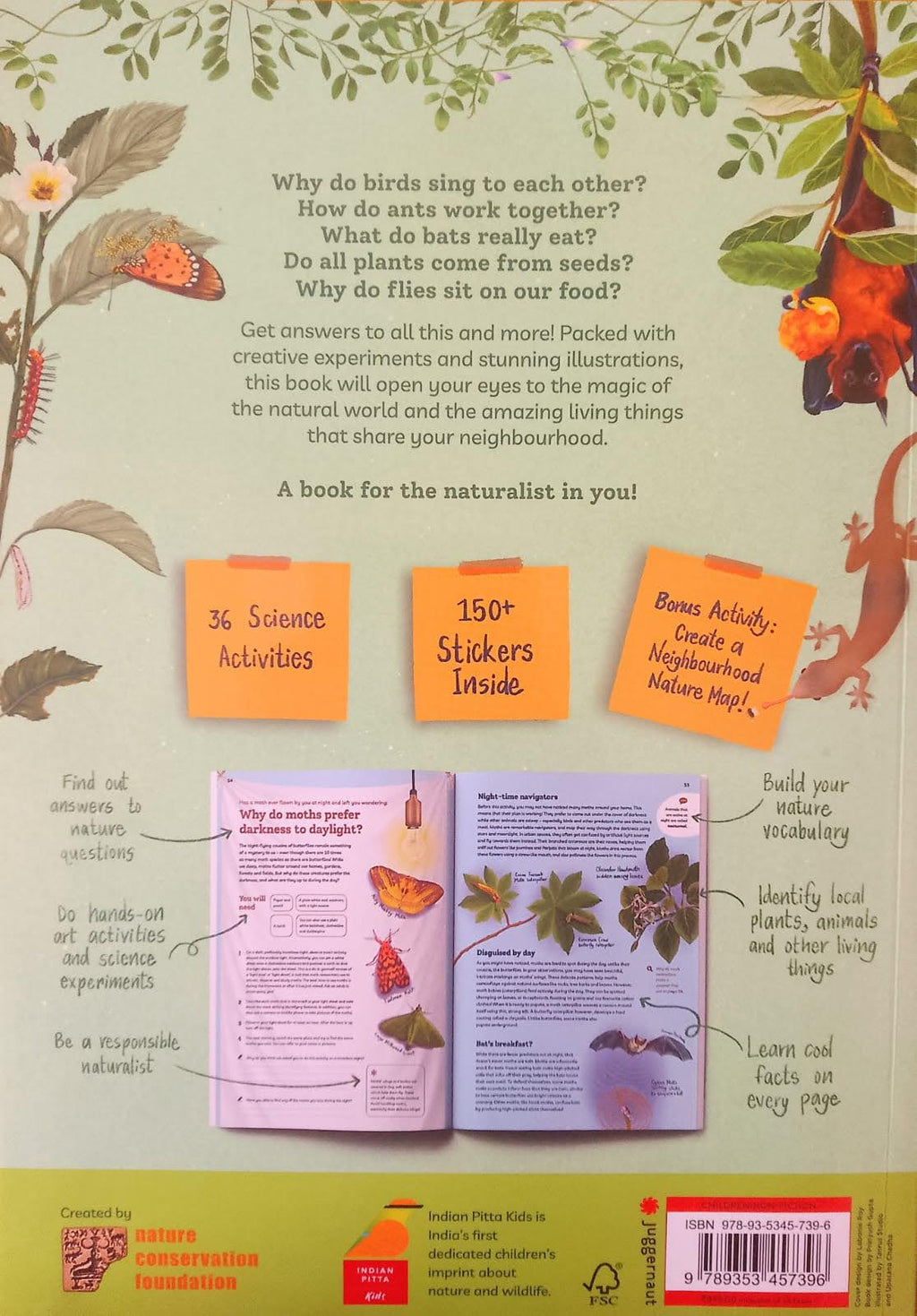 Be a Neighbourhood Naturalist : Explore Nature With Activities and Experiments
