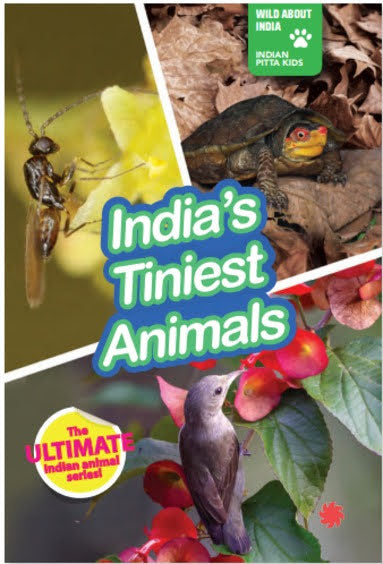 Wild About India: India's Tiniest Animals