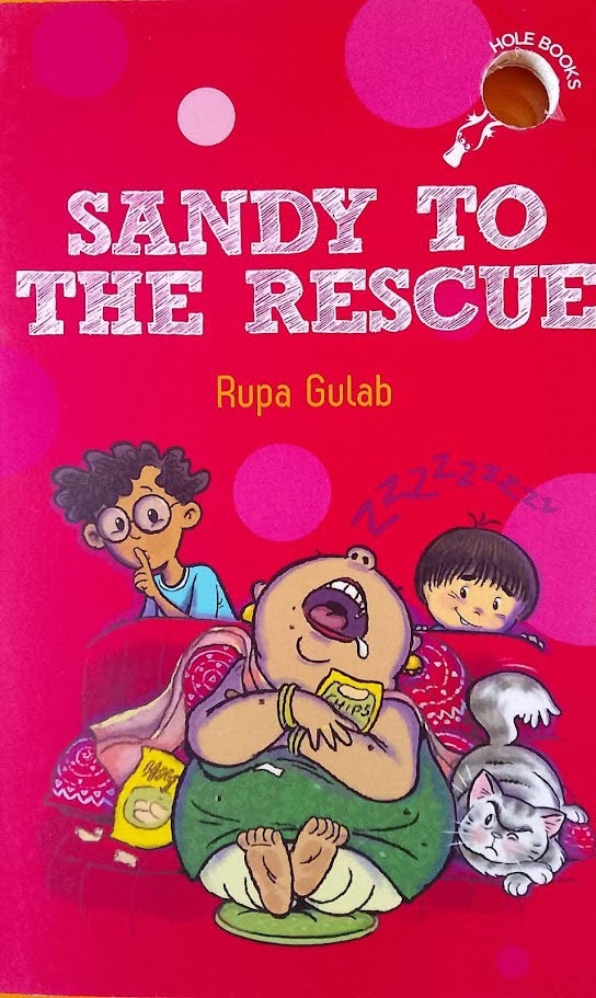 Hole Book: Sandy to the Rescue