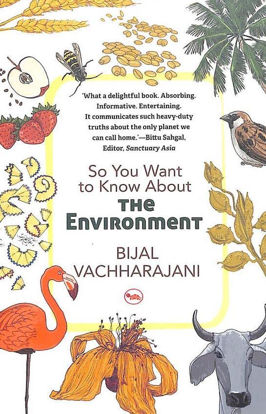 So You Want to Know About The Environment