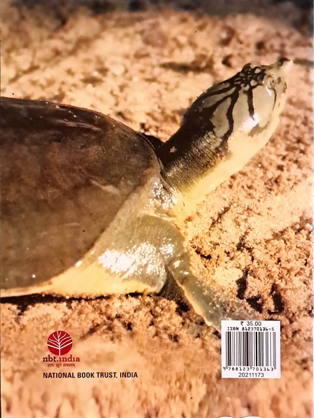 The World Of Turtles And Crocodiles
